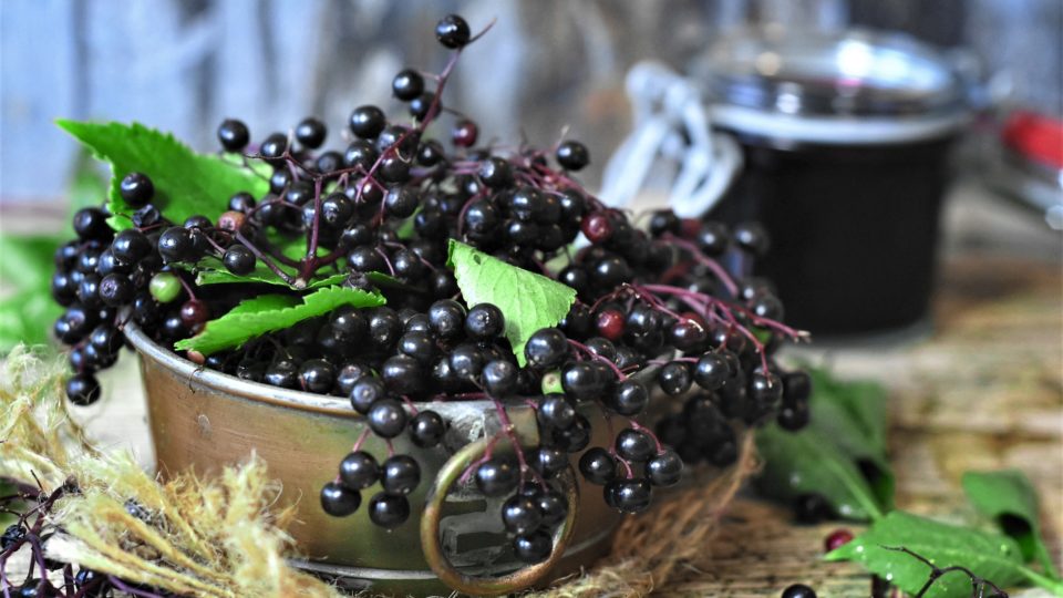 Elderberry: Creative Ways to Incorporate Into Your Diet