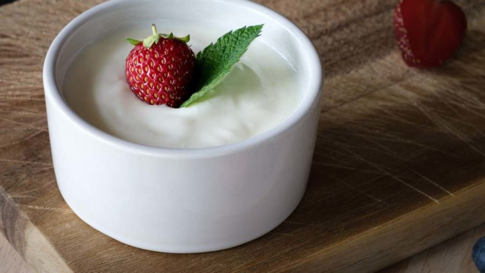 Make Immune Boosting Dairy-Free Probiotic Yogurt with TWO Ingredients!