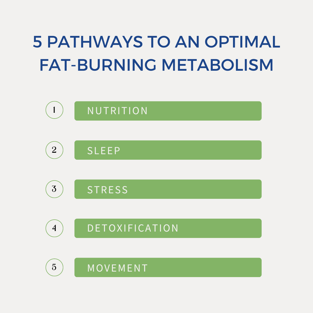 How to Burn Fat for Fuel
